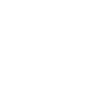 ニュース NEWS