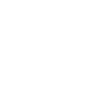 特集 SPECIAL CONTENTS